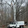 Photo of Kinsey Tree Services