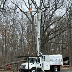 Kinsey Tree Services