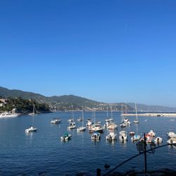 Vernissage - The view !