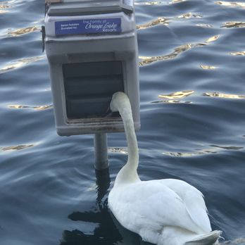 Lake Eola Park - Parks Near Me - Orlando, Florida