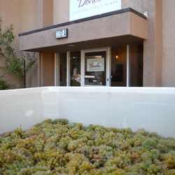 Winery during a harvest morning