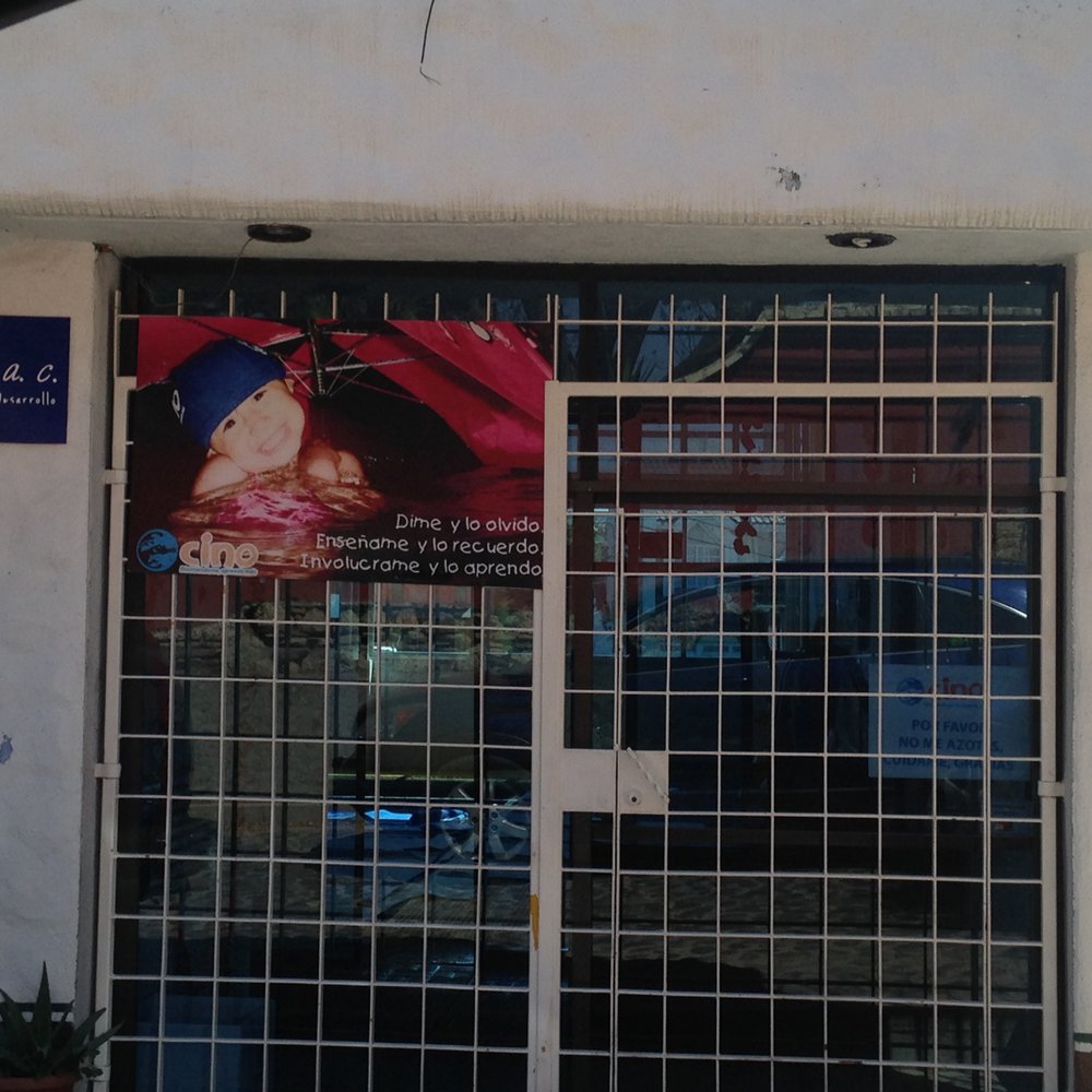 CINO - Swimming Lessons/Schools Near Me - Oaxaca, OAX