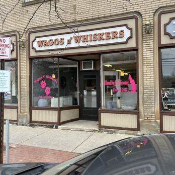 Waggs-N-Whiskers - Entrance - Pet Groomers Near Me - Lakewood, Ohio