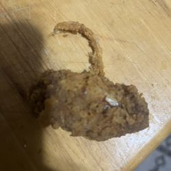 KFC - My chicken wing with the feather fried on it