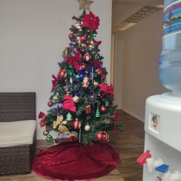 Cute tree inside Cute tree inside