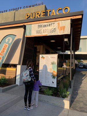 PureTaco by null