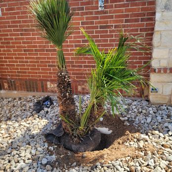 Backyard Environments - Pool & Hot Tub Service Near Me - Northlake, Texas