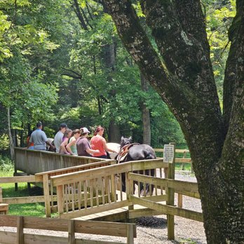 Cades Cove Riding Stables - A group getting ready to ride - Horseback Riding Near Me - Townsend, Tennessee Cades Cove Riding Stables - A group getting ready to ride - Horseback Riding Near Me - Townsend, Tennessee