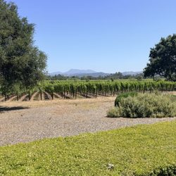 Benovia Winery
