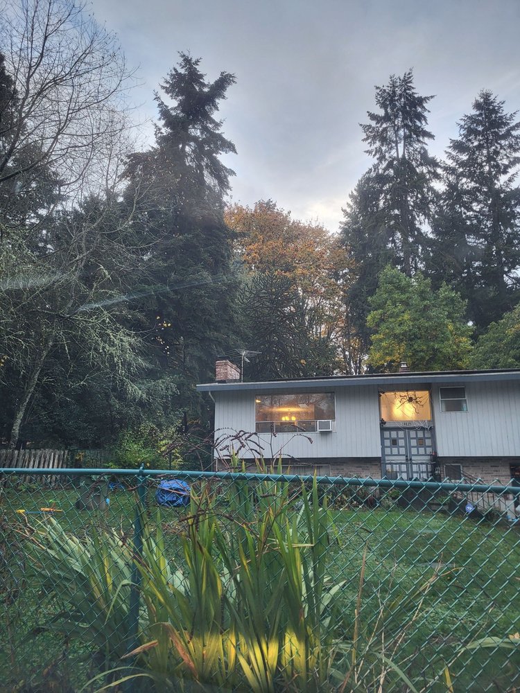 Tall Trees Child Care - childcare center in Renton, WA