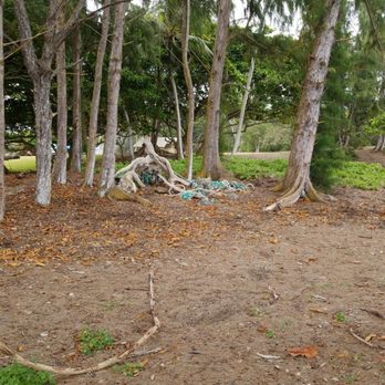 Malaekahana Beach - Old fishing nets that has washed up and someone carried them up but never disposed of it - Beaches Near Me - Kahuku, Hawaii