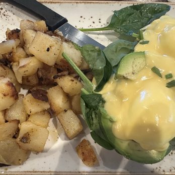 First Watch - Eggs Benedict - Breakfast & Brunch Near Me - Brooksville, Florida First Watch - Eggs Benedict - Breakfast & Brunch Near Me - Brooksville, Florida