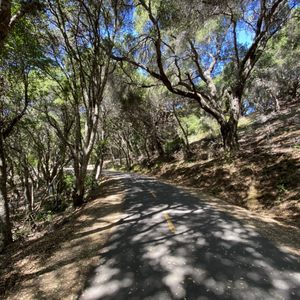 Crystal Springs Park on Yelp