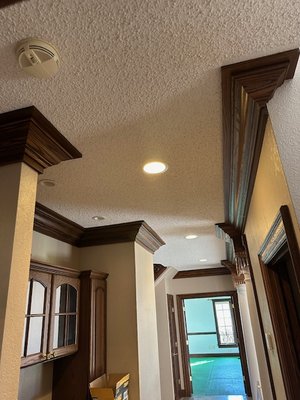 New Ceilings - New ceiling projects!