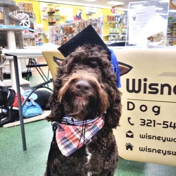 Wisney's Way Dog Training - The graduate. - Pet Training Near Me - Melbourne, Florida Wisney's Way Dog Training - The graduate. - Pet Training Near Me - Melbourne, Florida