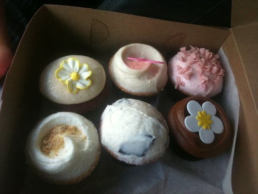 Buttercream Cupcakes & Coffee by null