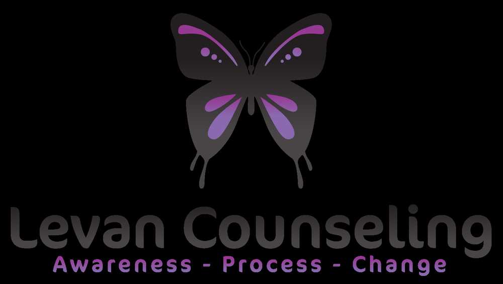 Levan Counseling & Consulting - grief counselor in Brooklyn Center, MN