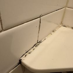 The Emily Program - St. Paul Anna Westin House for Adolescents - Mold in my shower