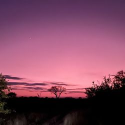 Dave Rodrigues  - Cruise Planners - Stunning sunset on our African safari in South Africa - June 2022.