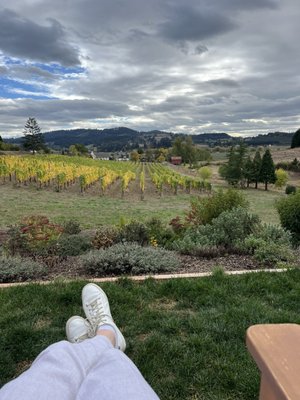 Domaine Divio by null