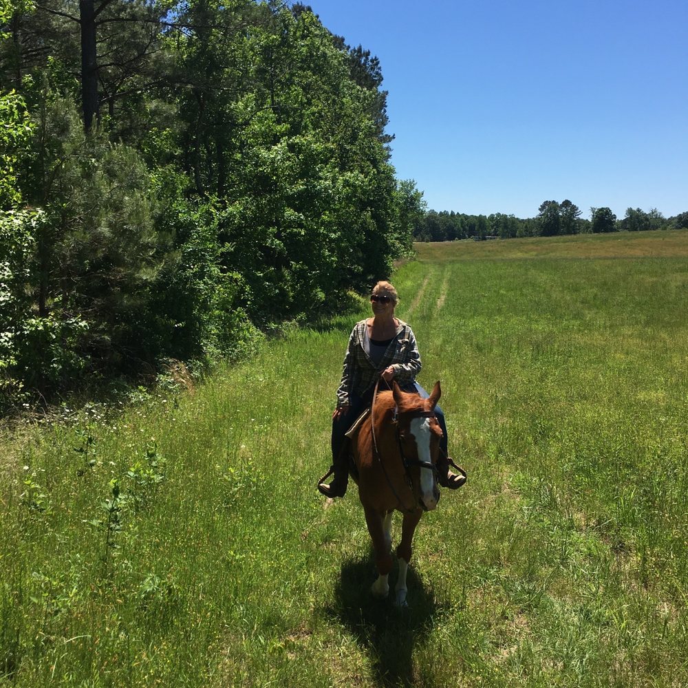 C&C Farm - Horseback Riding Near Me - Louisburg, North Carolina