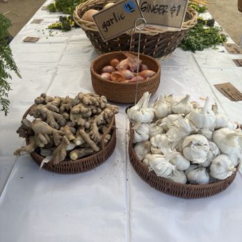 Alma Backyard Farm - Farmers Market Near Me - Compton, California Alma Backyard Farm - Farmers Market Near Me - Compton, California