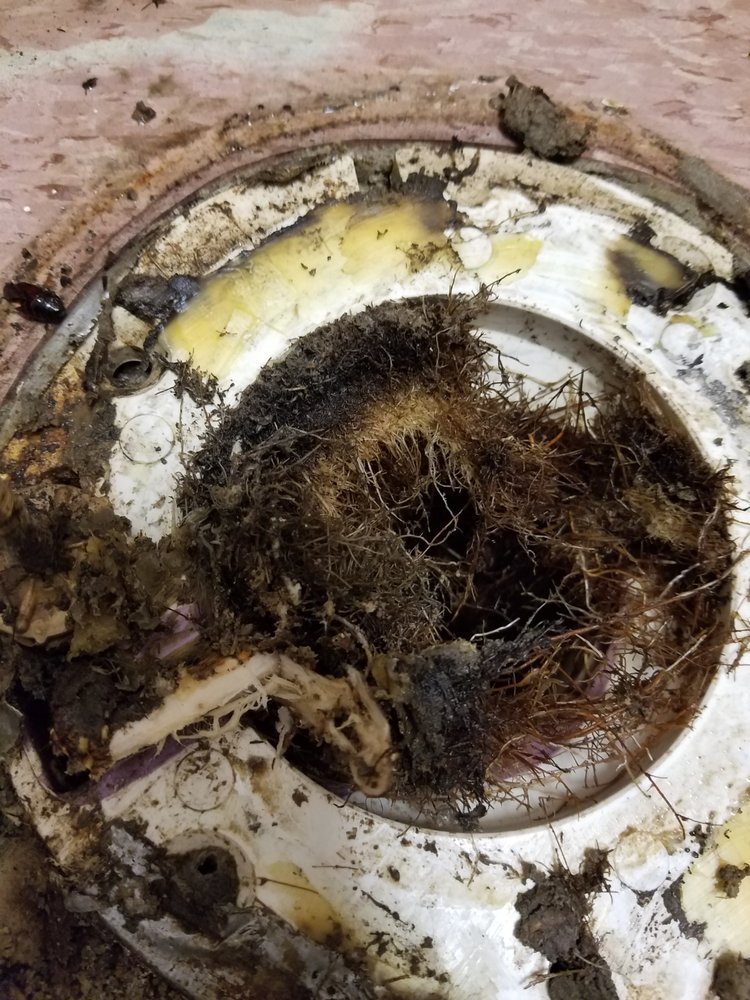 Slide of Bukowski Plumbing