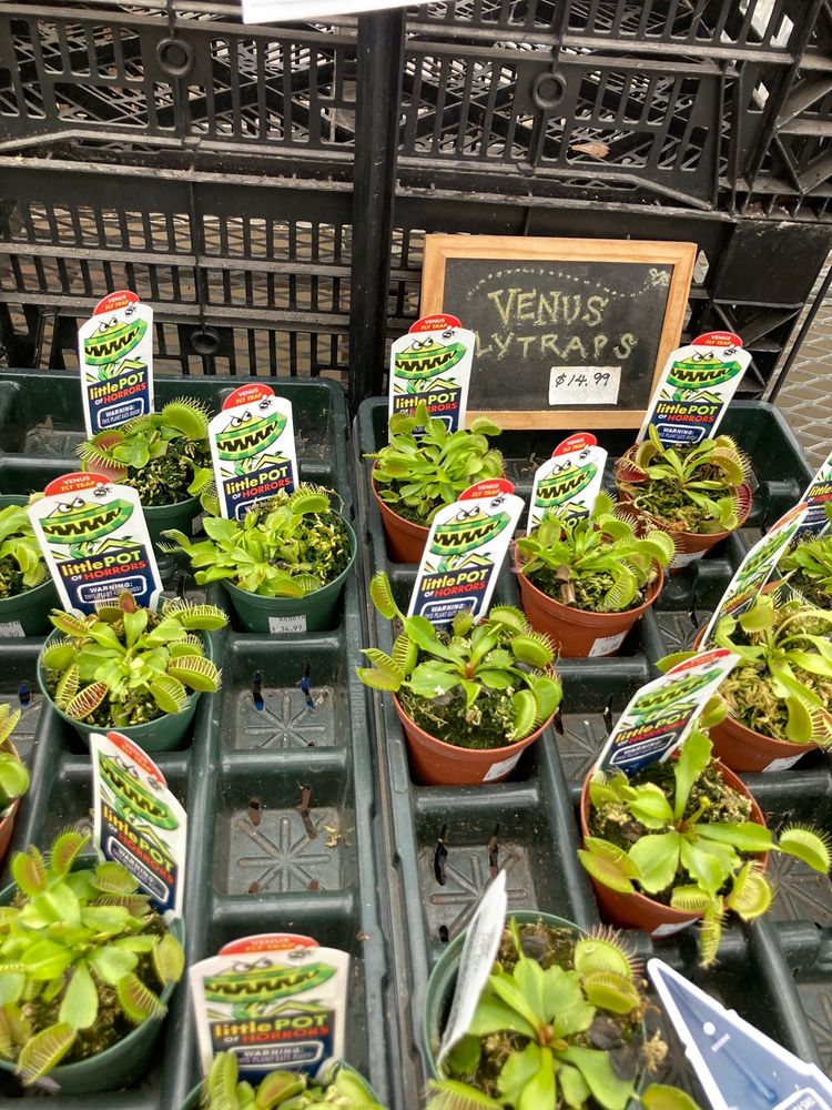 SKILLIN’S GREENHOUSES Updated October 2024 20 Photos & 14 Reviews