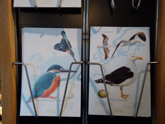 Phare des Baleines by null