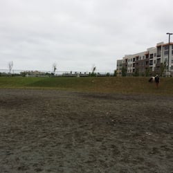 Simpson Stadium Dog Park