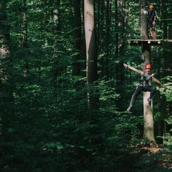 Kletterwald Regensburg