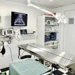 Cornwall Veterinary Hospital - Surgery Suite