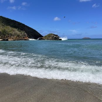 Ocean Surfari Charters - Fishing Near Me - Red Hook, Virgin Islands