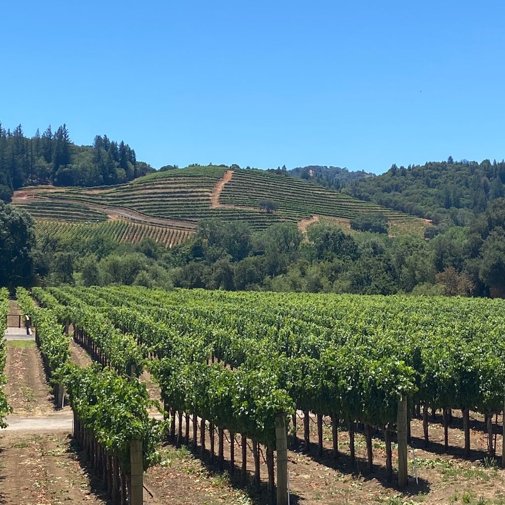 Dutcher Crossing Winery - Wineries Near Me - Geyserville, California