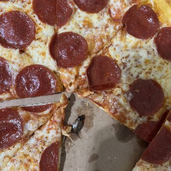 Zalat Pizza - Cockroach in the pizza lol - Pizza Near Me - Houston, Texas Zalat Pizza - Cockroach in the pizza lol - Pizza Near Me - Houston, Texas