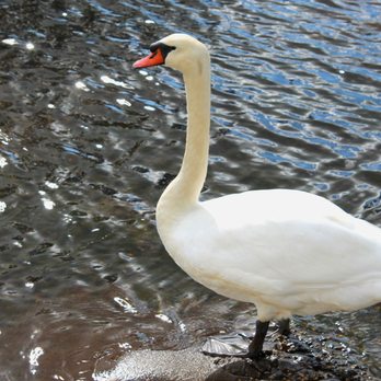 Argyle Park - Do you like my noble profile? - Parks Near Me - Babylon, New York