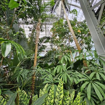 United States Botanic Garden - Inside the Tropics zone - Botanical Gardens Near Me - Washington, DC, District of Columbia United States Botanic Garden - Inside the Tropics zone - Botanical Gardens Near Me - Washington, DC, District of Columbia