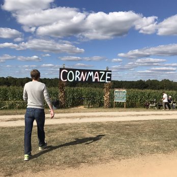 Chesterfield Berry Farm - Corn maze is fun! - Farmers Market Near Me - Moseley, Virginia Chesterfield Berry Farm - Corn maze is fun! - Farmers Market Near Me - Moseley, Virginia