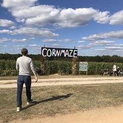 Chesterfield Berry Farm - Corn maze is fun!