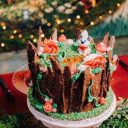 Gingerbread House - Birthday cakes available for parties or custom orders.