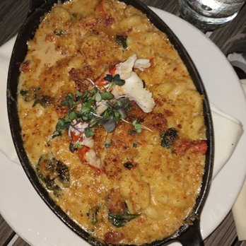 SHOR American Seafood Grill - Lobster Mac was Great a long side calamari - Seafood Near Me - Clearwater, Florida SHOR American Seafood Grill - Lobster Mac was Great a long side calamari - Seafood Near Me - Clearwater, Florida