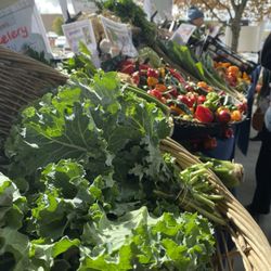 Meridian Township Farmer's Market - Fresh produce