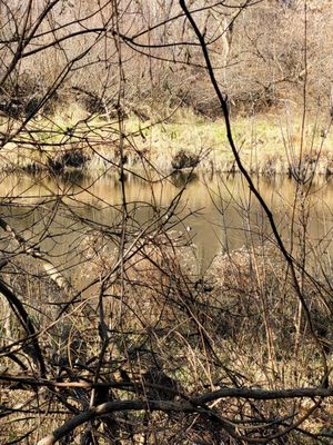 Urban Ecology Center - Riverside Park by null