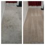 High Performance Carpet Care