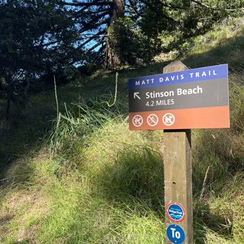 Mt. Tamalpais East Peak - Parks Near Me - Mill Valley, California Mt. Tamalpais East Peak - Parks Near Me - Mill Valley, California
