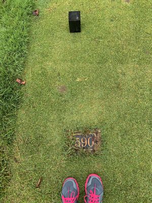 LAKE PRESIDENTIAL GOLF COURSE Updated October 2024 37 Photos 91