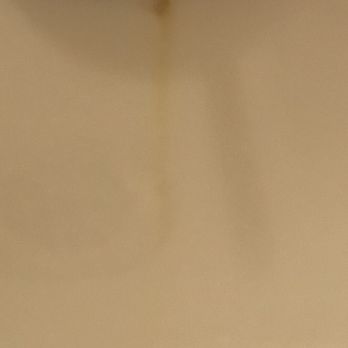 Cascades Inn - Shower - Hotels Near Me - Bloomington, Indiana