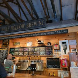 Wolf Hollow Brewing Company - Bar