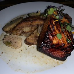 Salmon