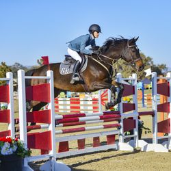 Our daughter showing her new horse at a regional show at Paso Robles. Thanks to Holly Charlbois/Kilham Farm.